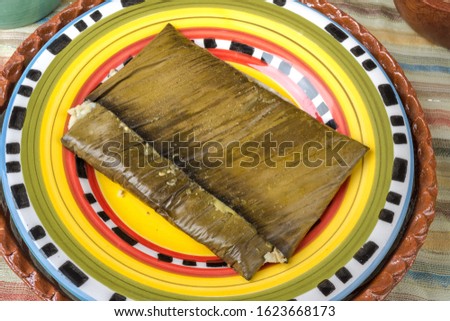 Tamales Oaxaqueños, Mexican dish made with corn dough, chicken or pork and chili, wrapped in a banana leaves.