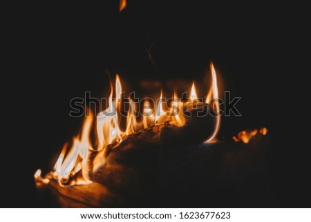 Dance of the flame on burning newspaper. Against the dark background.