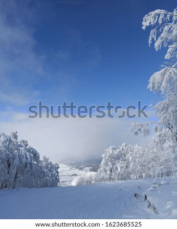 Blue Sky ski snow japan mountain