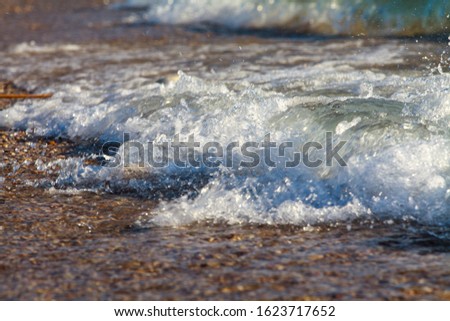 Sea waves with white foam on the seashore. Summer beach of the warm sea. The sea shore is made of shells and sand and is surrounded by salt waves with foam.