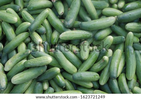 TOP VIEW OF FRESH CUCUMBERS IN MARKET