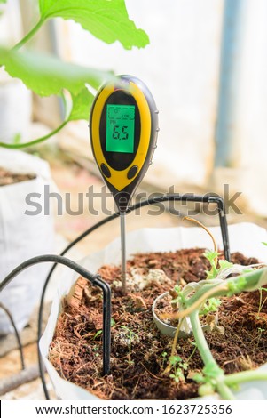 Use soil PH meter for check the PH value 