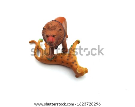a leopard lay down and lion stand up on a leopard