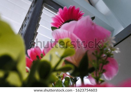 Background pictures of fake flowers in a beautiful vase.