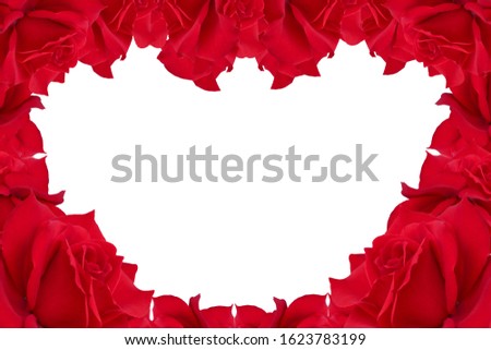 Frame made of red roses on white background and It has space for text or pictures. Valentine decoration. Frame of red roses isolated on white background. Flat design.