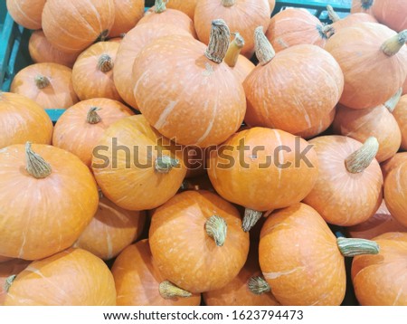 A pile of small pumpkin  in the market