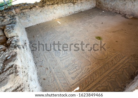 Amazing ancient mosaic at floor of ruins of antique house. Horizontal color photography.