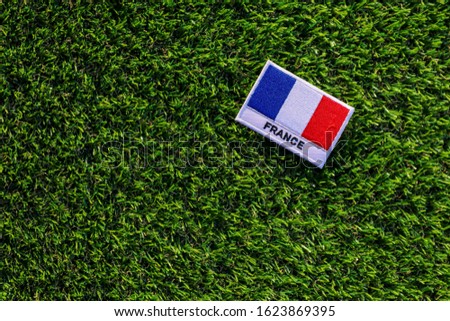 The french flag on the green grass