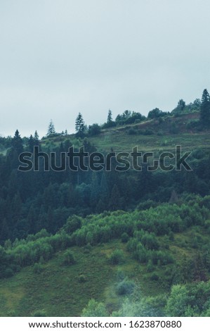 Beautiful national park with coniferous trees and mountains