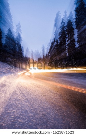 WINTER FOREST WITH MYSTIC LIGHT OF CAR. DRAMATIC EXPOSURE
