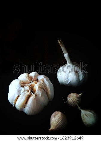 Garlics in still life photography