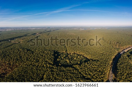 drone photo of the forest of Grunheide, Berlin-Brandenburg, giga factory