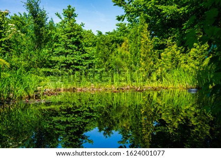Beautiful  garden pond with stone beach against backdrop of evergreen garden. Evergreens are reflected in mirror surface. Blue sky is reflected in pond with stone shore. Spring joyful landscape.