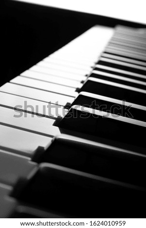 Side, perspective view of electronic synthesizer piano keys. Horizontal photo ready for music shops, posters, advertising booklets, business cards, web presentations. Place for text