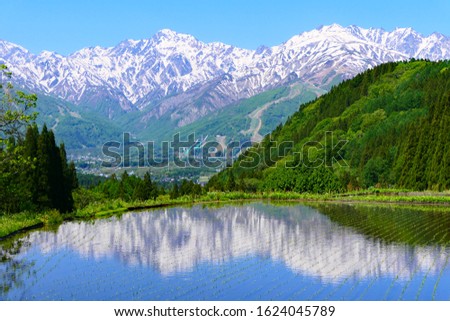 Japanese Northern Alps with terraced paddy field.This place is Aoni area.Hakuba Nagano Japan.Late May. Royalty-Free Stock Photo #1624045789