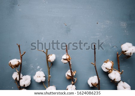 Beautiful and simple frame made ou cotton on the rustic grey background, top view, flat lay