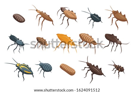 Cockroach icons set. Isometric set of cockroach vector icons for web design isolated on white background