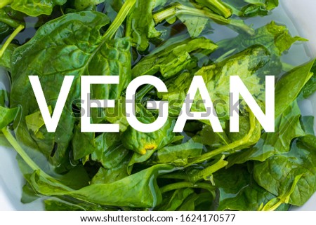 Vegan word, text or sign on prepared vegetables food background. Vegan food and healthy diet concept. Fresh green spinach leaves