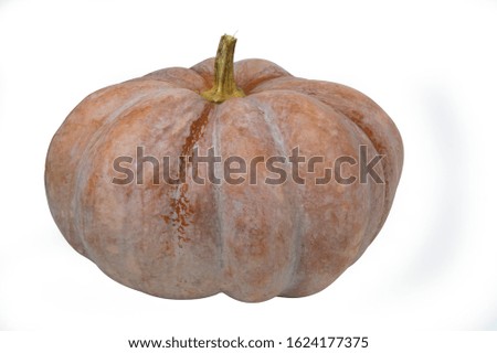 Fresh pumpkin on a white background and buried in the clipping path.