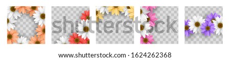 Set of colorful gerbera daisy flower floral frame on transparent background vector template