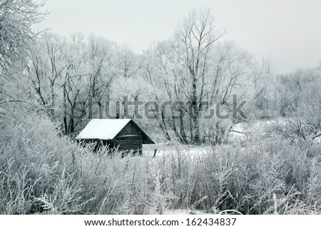 Winter rural landscape