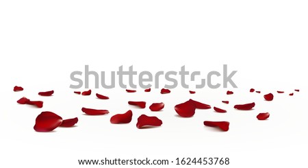 Falling red rose petals seasonal confetti, blossom elements flying isolated. Abstract floral background with beauty roses petal. design for greeting cards. Rose petals fall to the floor.