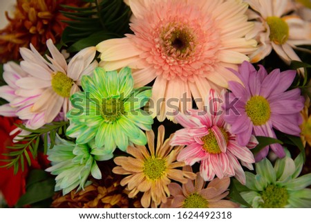 Photo of trendy flowers for graphic and web design. Floral image for web or mobile app.