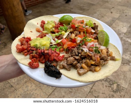 Mexican cornmeal tacos with meat, chorizo, guacamole sauce and lime slices on the plate in the hand, tasty mexican food tacos