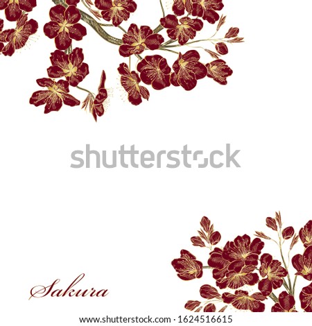 Beautiful background with branch flowers cherry blossom. Sakura flowers. Vector illustration.