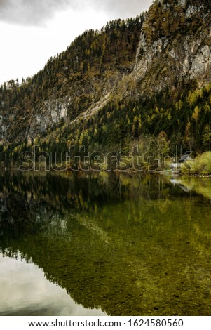 Traunsee lake with forest in background located in Austria, Alpine region.