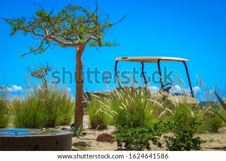 Golf Car Cabo San Lucas, Los Cabos, Baja California Sur, Mexico