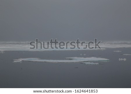 Blur and noise photography of a collection of pieces of ice in the middle of the sea at the North Pole