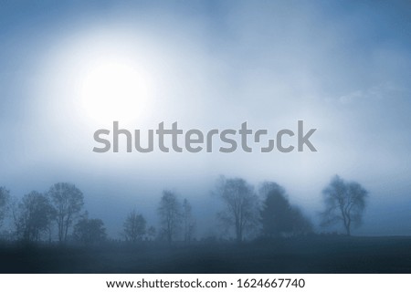 Sunrise over a foggy treeline, Stowe, Vermont, USA