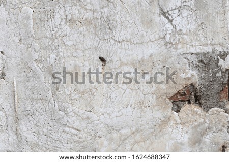 Cement wall abstract grey for background. gray Concrete wall.gray background wall texture. 
