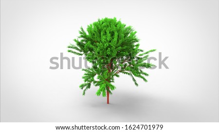3d rendering a tree created by using a blender tool. Realistic 3d tree. 3d illustration a tree