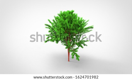 3d rendering a tree created by using a blender tool. Realistic 3d tree. 3d illustration a tree