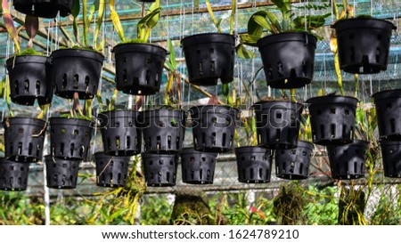 Black plastic flower pots hanging at the greenhouse in Dalat, Vietnam.