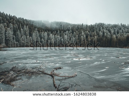 Black Forest Mummelsee in winter
