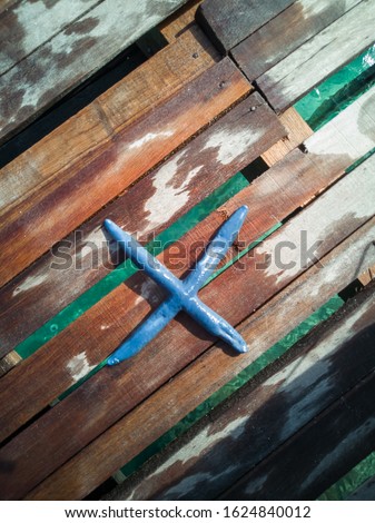 Diffrent types of Starfishes in turquoise and blue colour on wooden rustic background