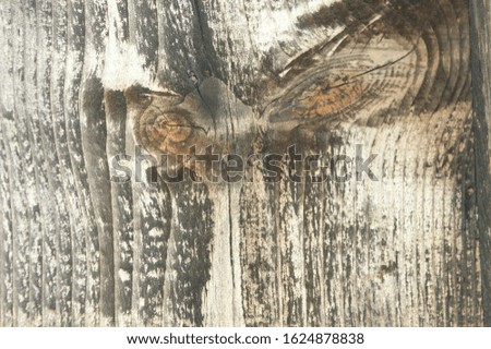 Brown black wooden bark as background close up