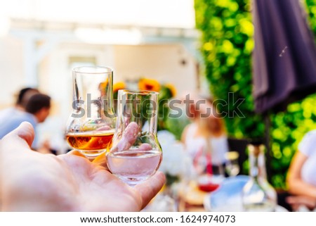 Two grappa glasses with brown and light grappa at a garden party in summer. Royalty-Free Stock Photo #1624974073