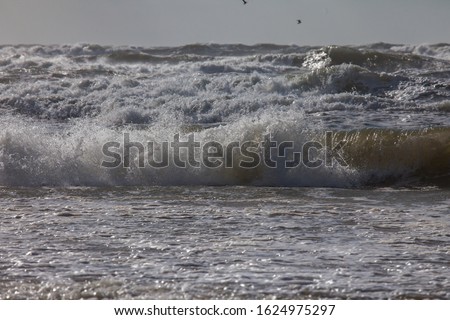 Waves of the north sea with white spindrift in front of a gray sky