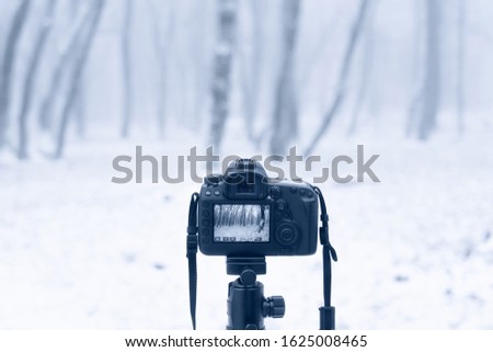 Camera on a tripod, shooting a landscape in the winter forest