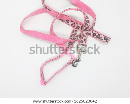 Various Colorful Dogs and Cats Necklace Buckle Pet Restraint Accessories in White Isolated Background