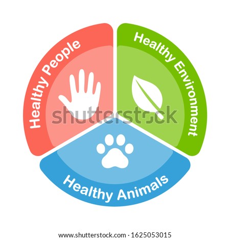 One Health infographic diagram. Three sectors with icons of global health areas: healthy people, animals and environment. Vector clip art illustration.