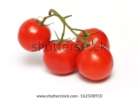 Tomato, vegetable on the branch and on a white background