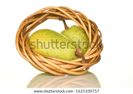 Two whole ripe juicy tasty Lucas pears lie near a ring woven from a vine, on a white background.