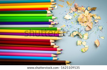 Sharpened multicolored pencils with wooden chips on a gray background
