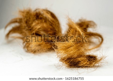Strands of cropped hair on a light background