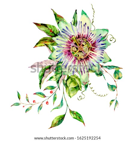Watercolor Passiflora greeting card, flowers, leaves. Vintage floral natural collection. Set of scrapbook objects for party, wedding, birthday. Hand drawn illustration.